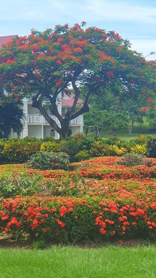 Ti Oasis Trinidad, Studio Vue Mer A Pierre & Vacances Sainte-Luce Ngoại thất bức ảnh